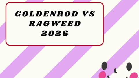 Goldenrod vs Ragweed2026