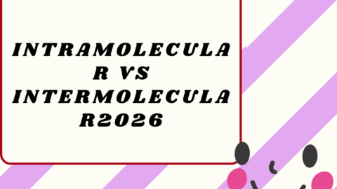 Intramolecular vs Intermolecular2026
