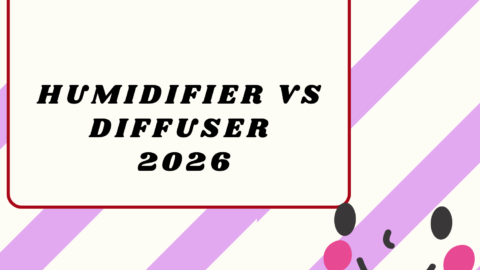 Humidifier vs Diffuser 2026
