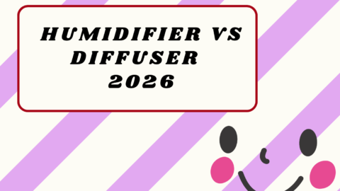 Humidifier vs Diffuser2026