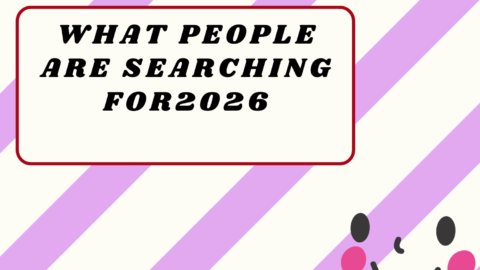 People Are Searching2026