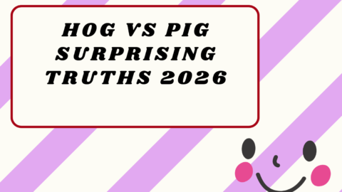 Hog vs Pig Surprising Truths 2026