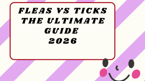 Fleas vs Ticks The Ultimate Guide 2026