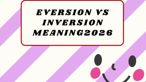 Eversion vs Inversion2026