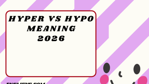 Hyper vs Hypo2026