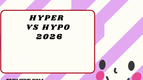 Hyper vs Hypo2026