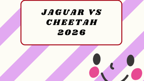 Jaguar vs Cheetah2026
