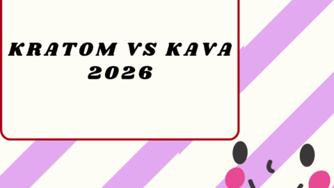 Kratom vs Kava2026