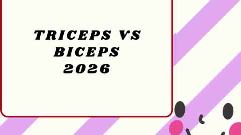 Triceps vs Biceps2026